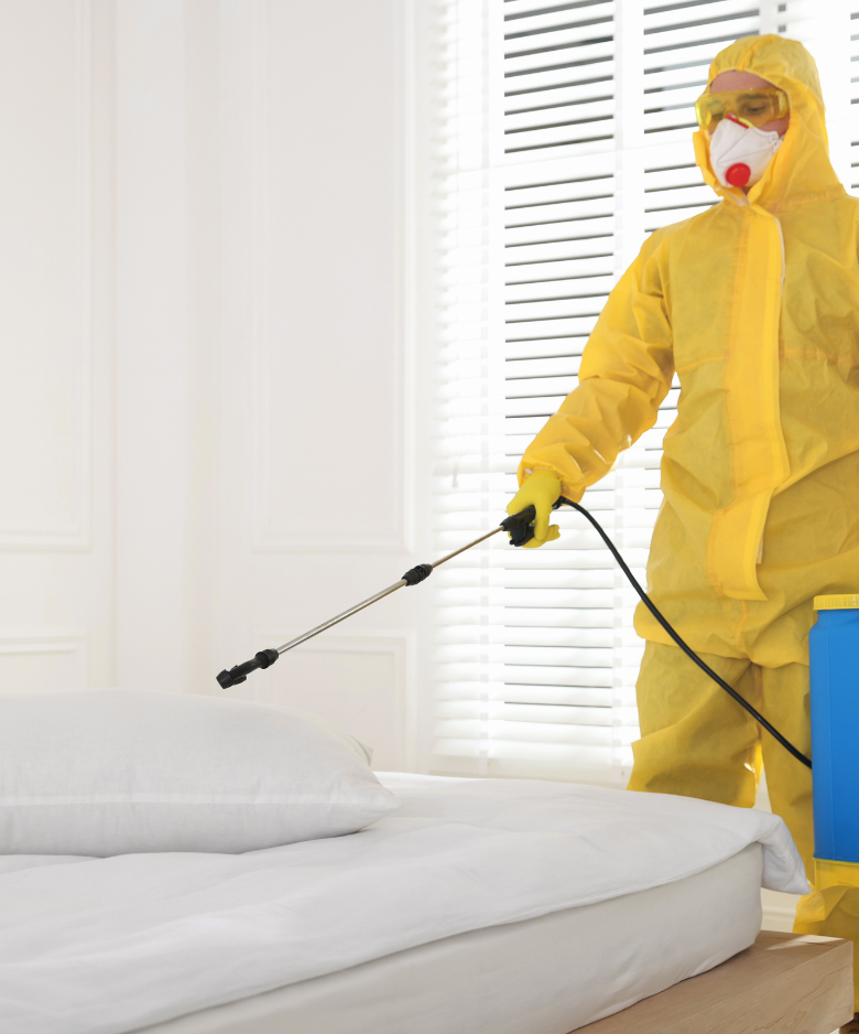 Professional Pest Control Team in Glen Osmond
